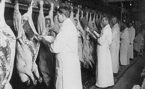Chicago_meat_inspection_swift_co_1906(4)